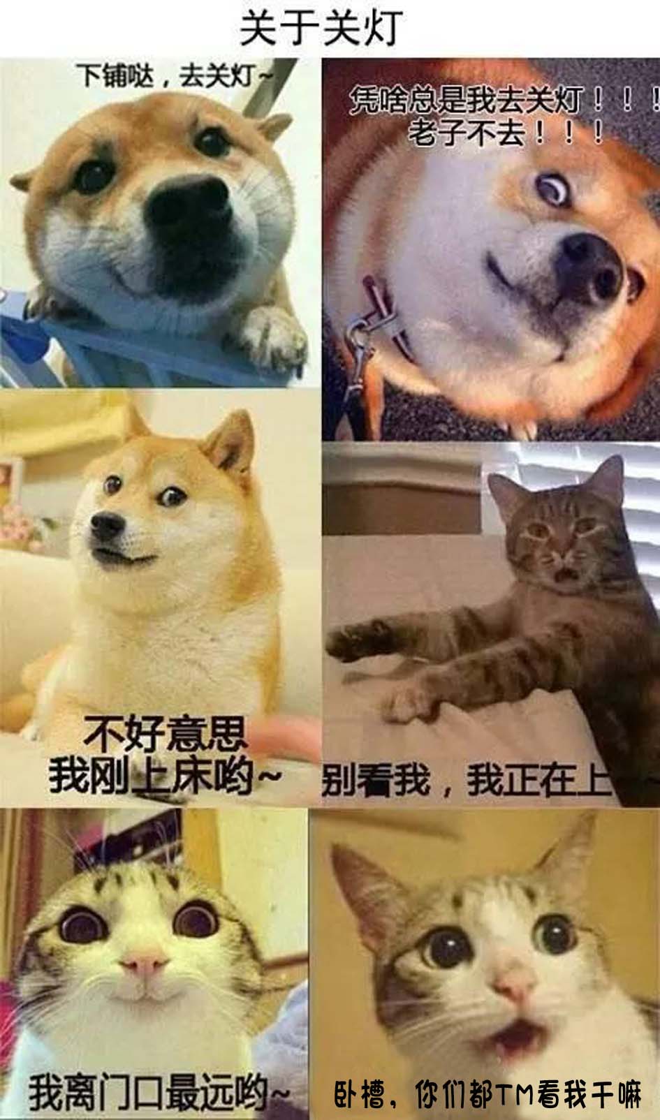 在大学，发生在宿舍里关于关灯的故事，你们躺枪了吗？综合gif搞笑图片