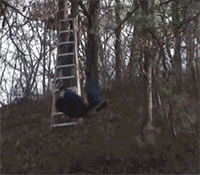 好评，这样的效果是我想看到的综合gif搞笑图片