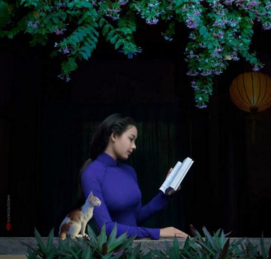 看看连猫都这么认真综合gif搞笑图片