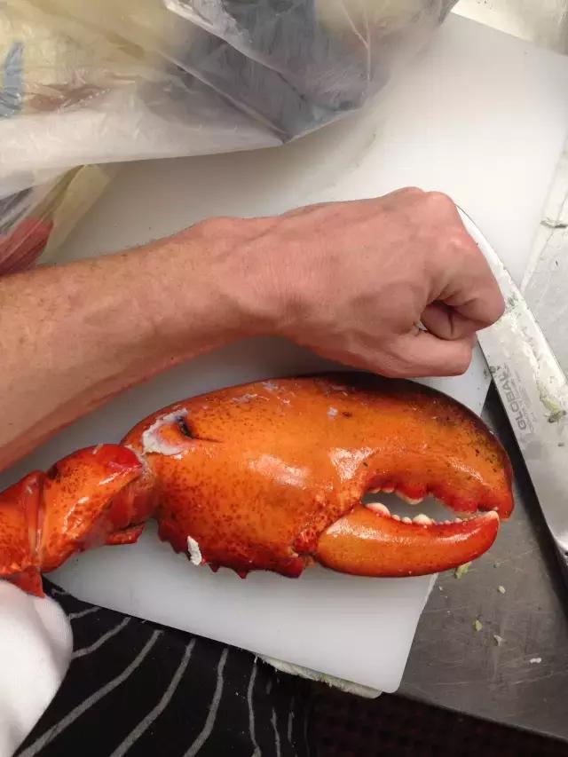 好大，单身好多年了吧？综合gif搞笑图片