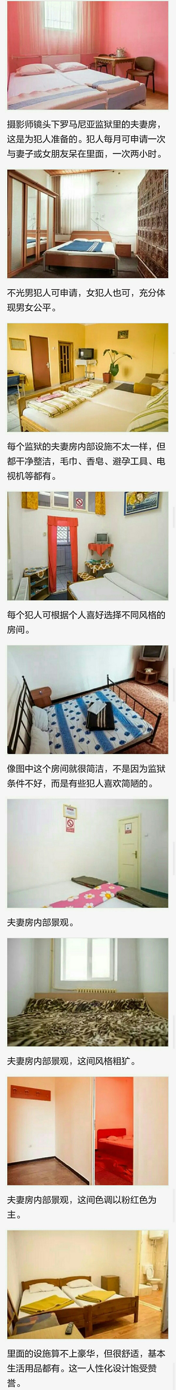 监狱夫妻房：犯人每月可申请2小时,可选风格~综合gif搞笑图片