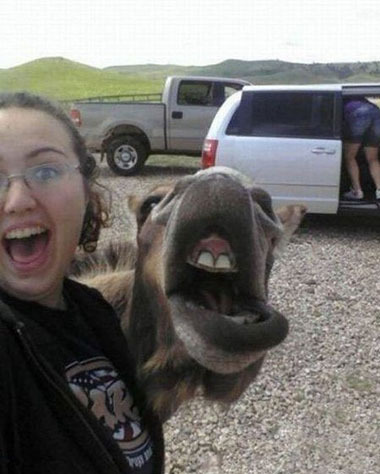 你俩是谁在模仿谁啊~综合gif搞笑图片