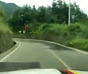 竟然在过弯输给了综合gif搞笑图片