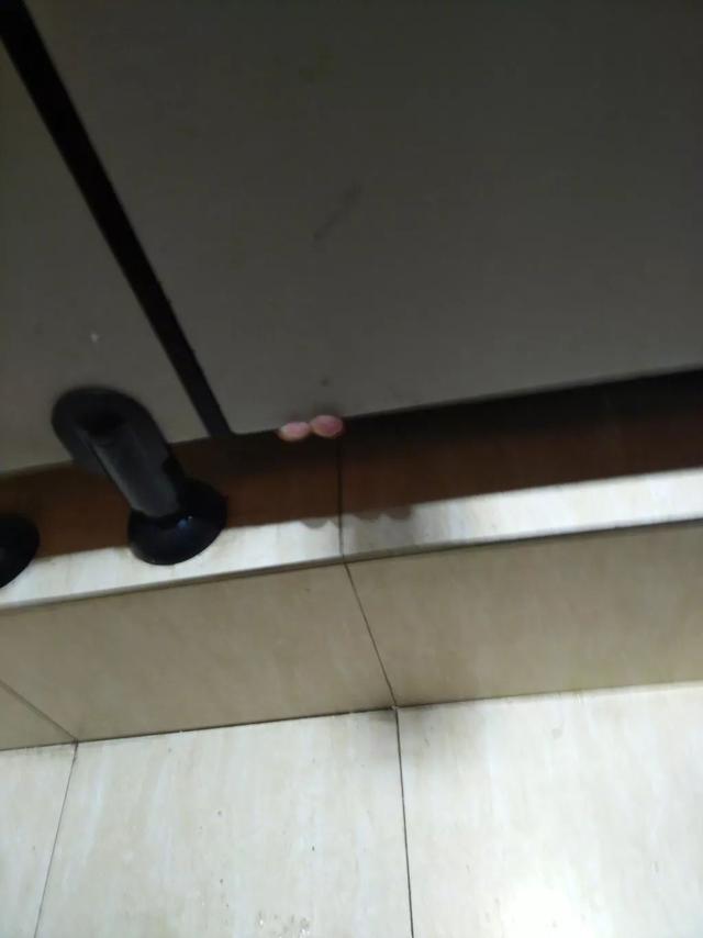 公共厕所门锁不上时的我...综合gif搞笑图片