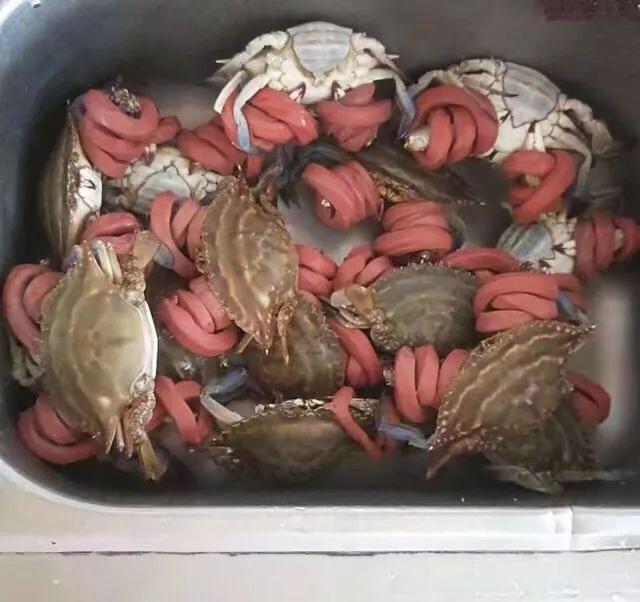 女婿770元买14斤黑心蟹送丈母娘 绳子占8斤！这就尴尬了综合gif搞笑图片