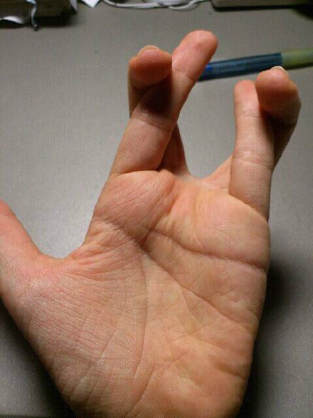 女版猪八戒，再吃胖点就更无违和感了综合gif搞笑图片