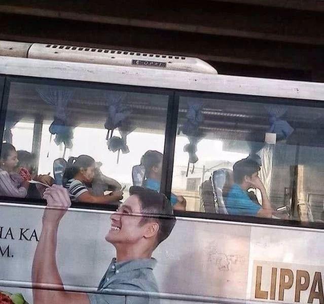 拍到这个哈欠也不容易综合gif搞笑图片