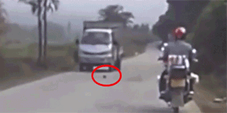 假如没有人拍下这一段视频，男子为何昏倒在路旁?综合gif搞笑图片