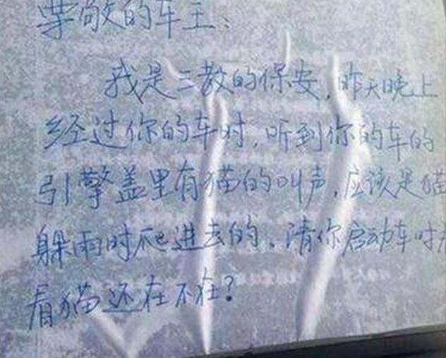 好有爱的保安大哥啊，希望猫咪没事综合gif搞笑图片