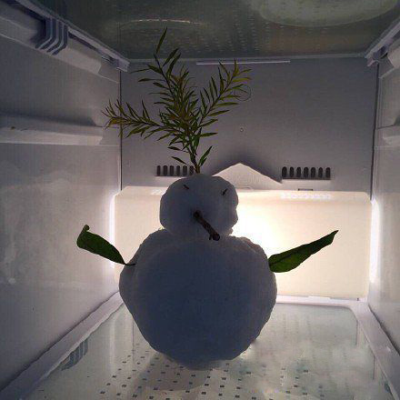 南方人是这样强行挽留雪人的综合gif搞笑图片