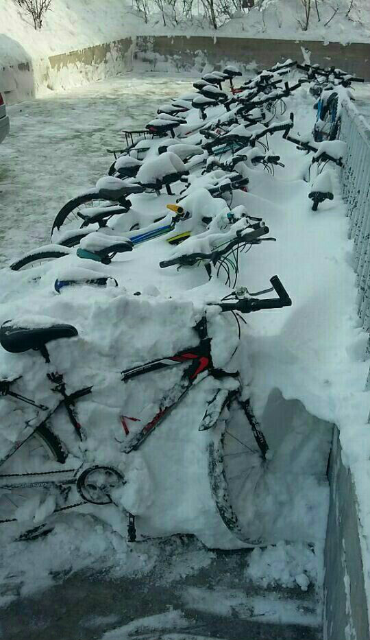 在俺那嘎达铲雪可是个苦差事，不信你看综合gif搞笑图片