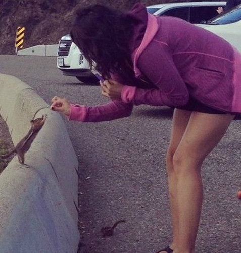 所以到底是冷还是热？综合gif搞笑图片