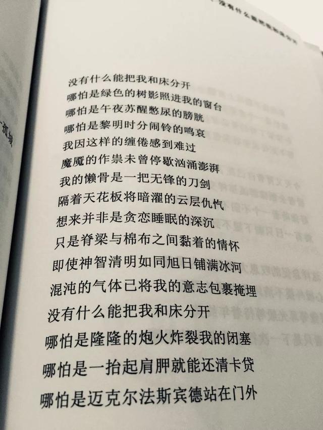 为什么要写diao丝我？综合gif搞笑图片