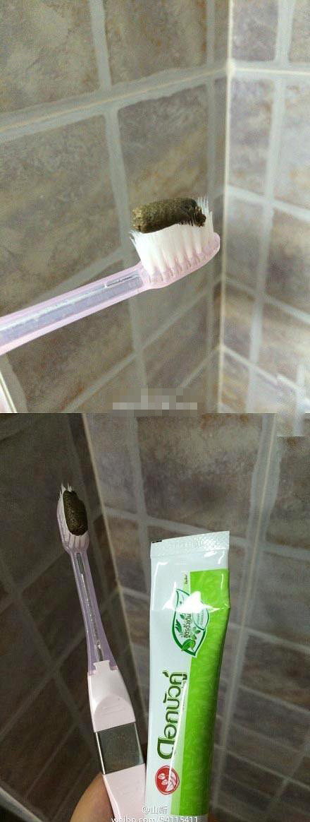 别人送的牙膏。。。我没办法下嘴啊综合gif搞笑图片