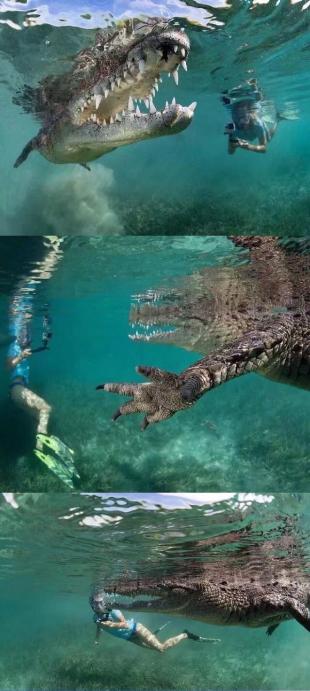 这天气好羡慕水里拿摄像机的那位综合gif搞笑图片