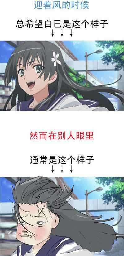 迎着风自己希望的样子。。。实际上。。。综合gif搞笑图片