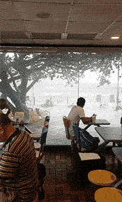 好担心台风把玻璃刮碎，里面的人好淡定综合gif搞笑图片