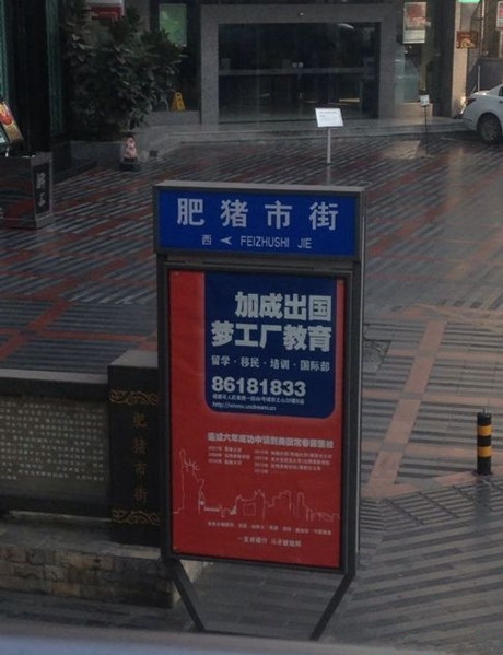 好奇葩的街道名综合gif搞笑图片