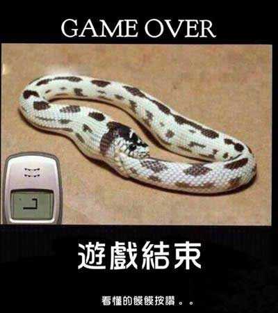 游戏结束...看懂的顶起综合gif搞笑图片