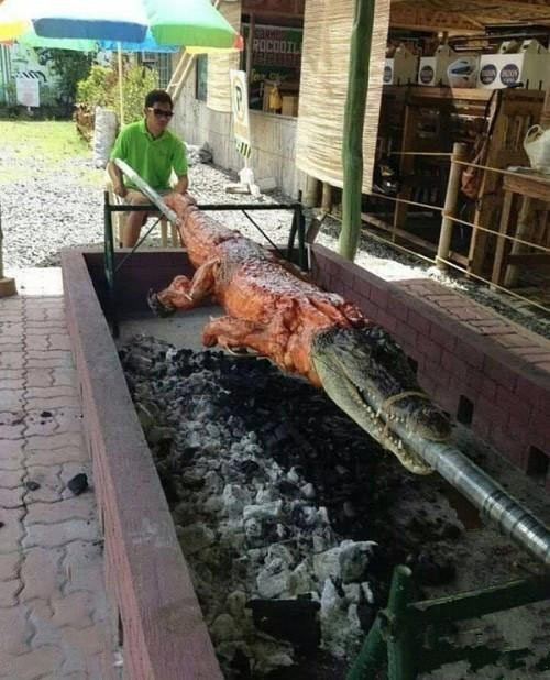 看到没有，土豪是这么吃烤肉的综合gif搞笑图片