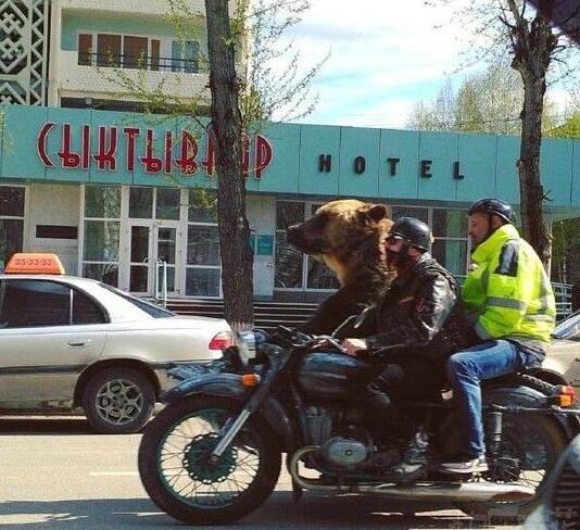 哥们一起去浪吗综合gif搞笑图片