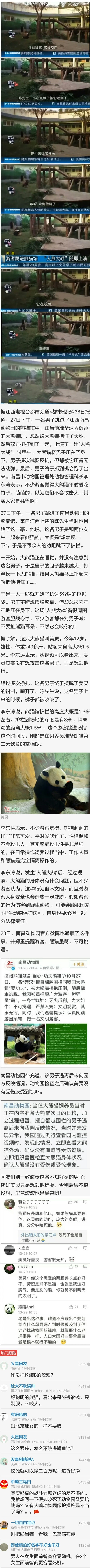 作死新高度！小伙跳进熊猫馆上演“人熊大战”，胖达爆发就在一瞬间！当老子真的只会卖萌啊/综合gif搞笑图片
