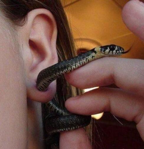 姑娘，你戴这种耳环，你男友不害怕吗？综合gif搞笑图片