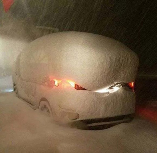 实话告诉你，这就是哈尔滨的雪综合gif搞笑图片