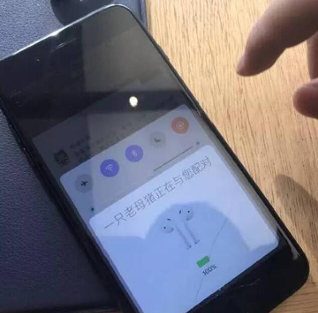 一只老母猪正在与你配对综合gif搞笑图片