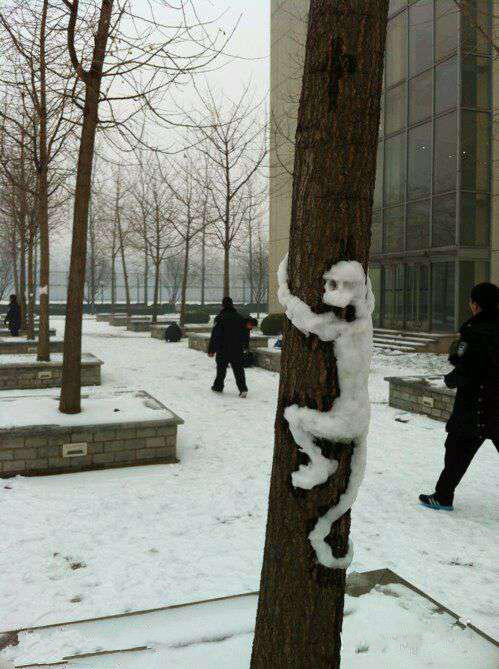 今天早上下楼吓我一跳综合gif搞笑图片