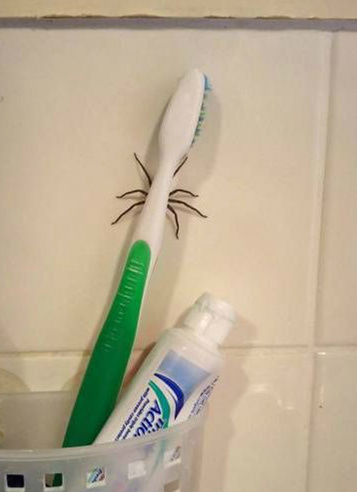 我的原子弹呐？综合gif搞笑图片