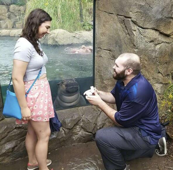 围观群众的羡慕综合gif搞笑图片