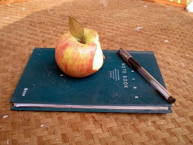 我的苹果笔记本！综合gif搞笑图片