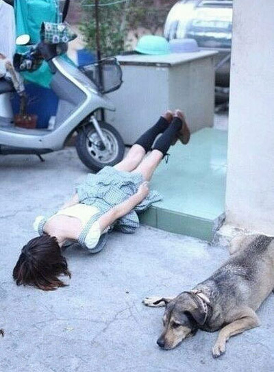 二逼狗狗和他的二逼主人综合gif搞笑图片