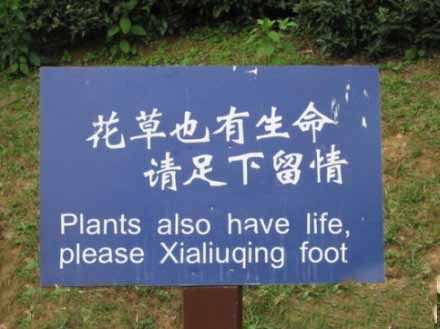 哪位大神翻译的，给跪了综合gif搞笑图片