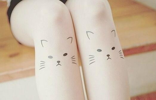 两只小猫综合gif搞笑图片