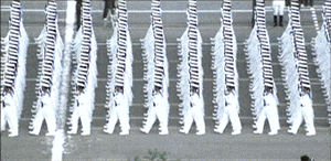 震撼，佩服，超赞综合gif搞笑图片