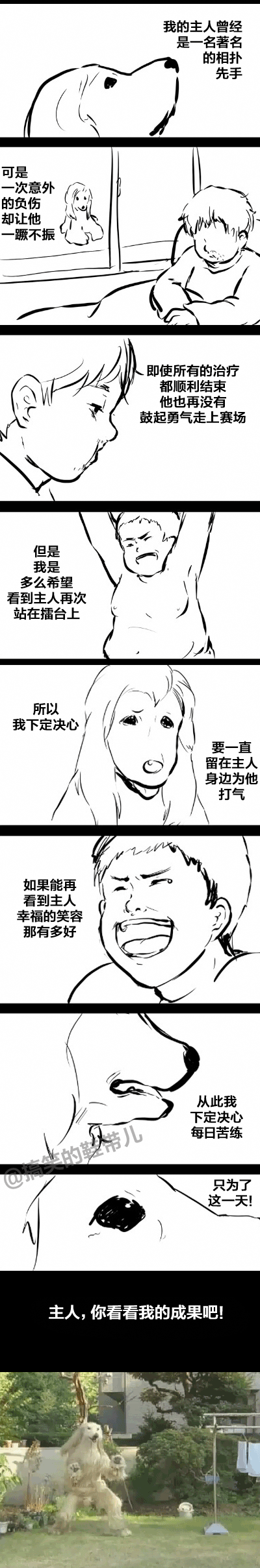 卧槽！什么鬼？还真的成精了！只是你进化的太随意了吧综合gif搞笑图片