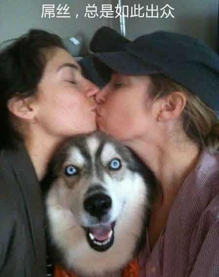 屌丝，总是如此出众综合gif搞笑图片