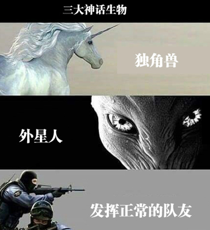 找个靠谱的队友就是这么难综合gif搞笑图片