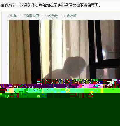为什么房租涨了还是愿意租？综合gif搞笑图片