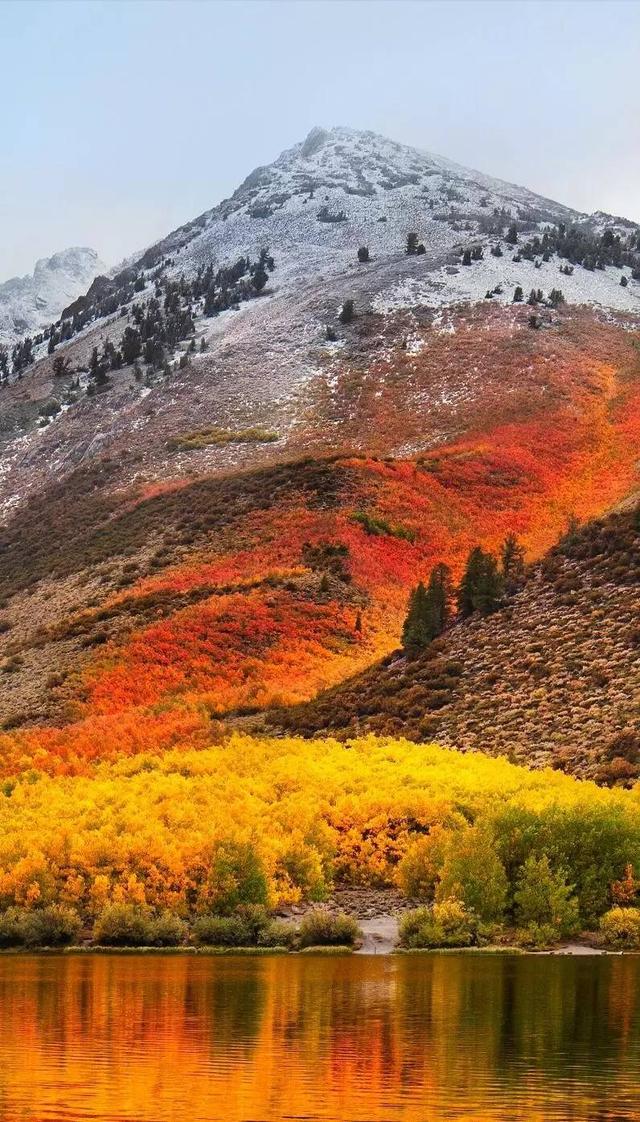 春夏秋冬综合gif搞笑图片