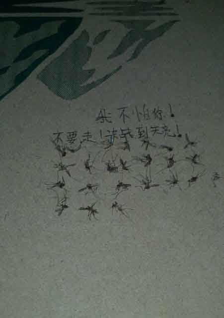 我不怕你！不要走！决战到天亮！综合gif搞笑图片