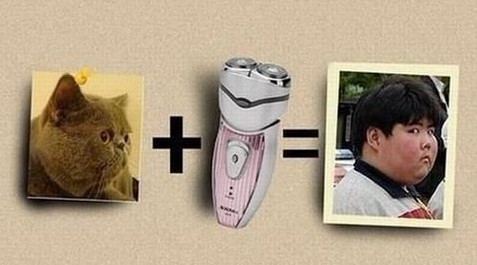 小胖的前世今生综合gif搞笑图片