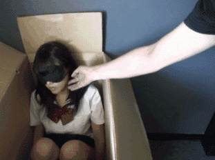 双十一入手了个老婆，还挺新鲜的综合gif搞笑图片