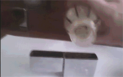 如何给zippo-打火机灌油-get√综合gif搞笑图片