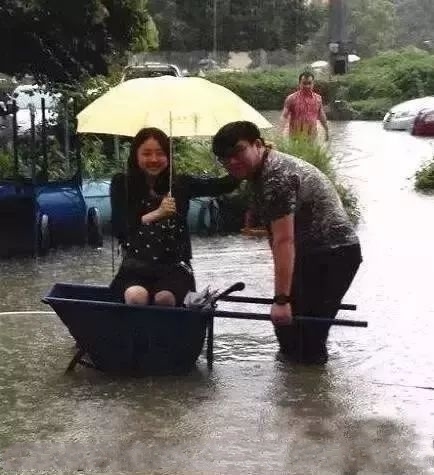 这个情况，啥车都不如这个综合gif搞笑图片