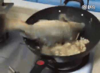 第一次做菜么？综合gif搞笑图片