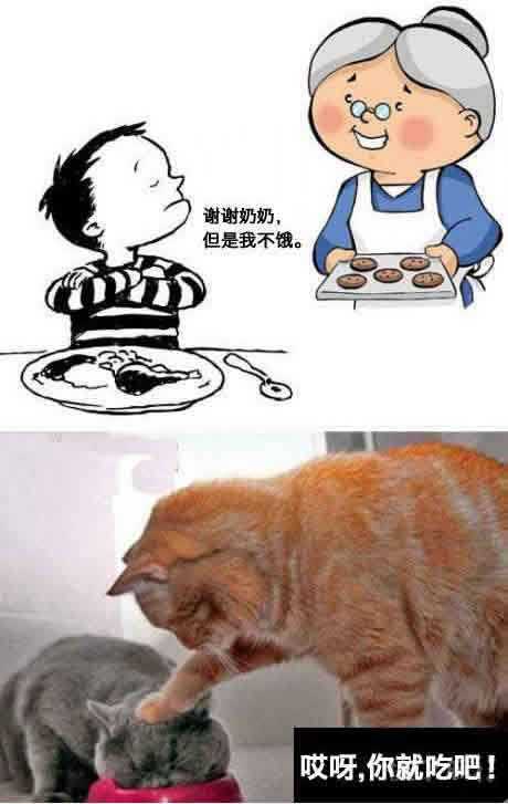 在奶奶家吃饭和在家里吃饭综合gif搞笑图片
