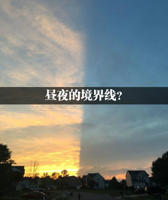 是不是紫妈要出来了呢？综合gif搞笑图片